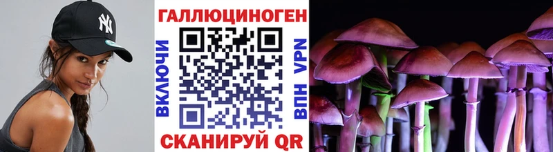 магазин продажи   Новоульяновск  Псилоцибиновые грибы Cubensis 